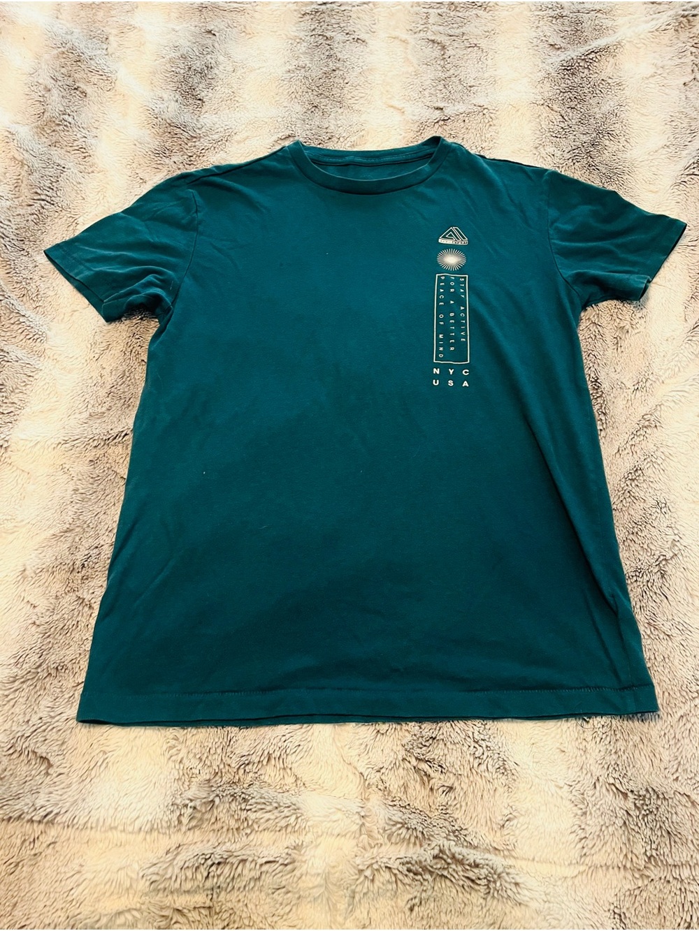 Aeropostale Teal Short Sleeve Graphic Crew Tee